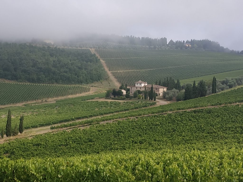 Leonardo's Rooms - Olivenhainen und Weinbergen